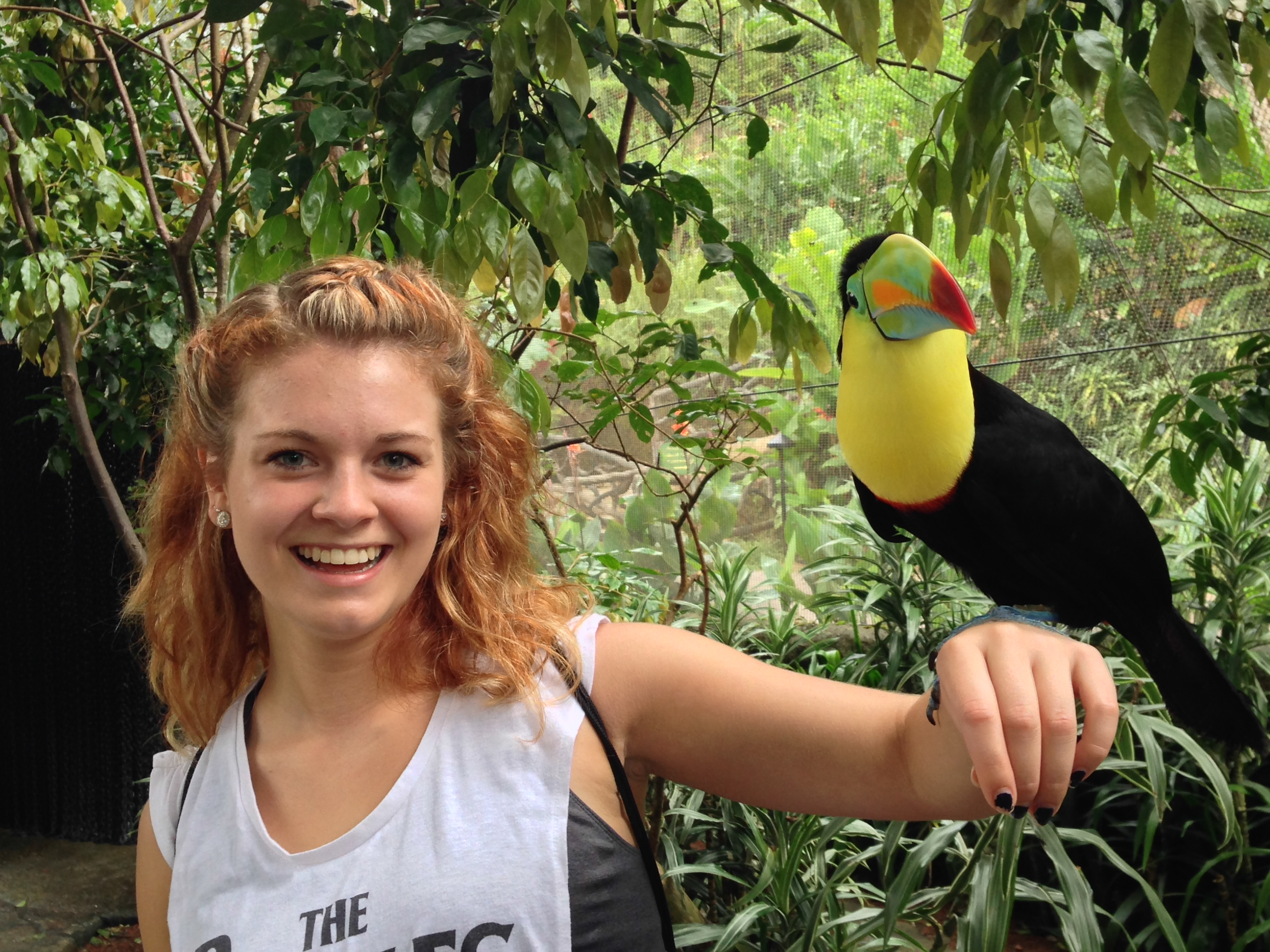 Costa Rica photo